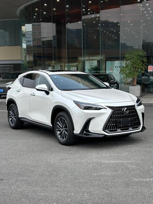 suv新车型20万左右／20万左右的suv新车