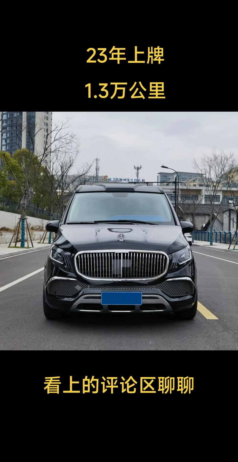 奔驰8座商务车/奔驰8座商务车台币多少钱一辆
