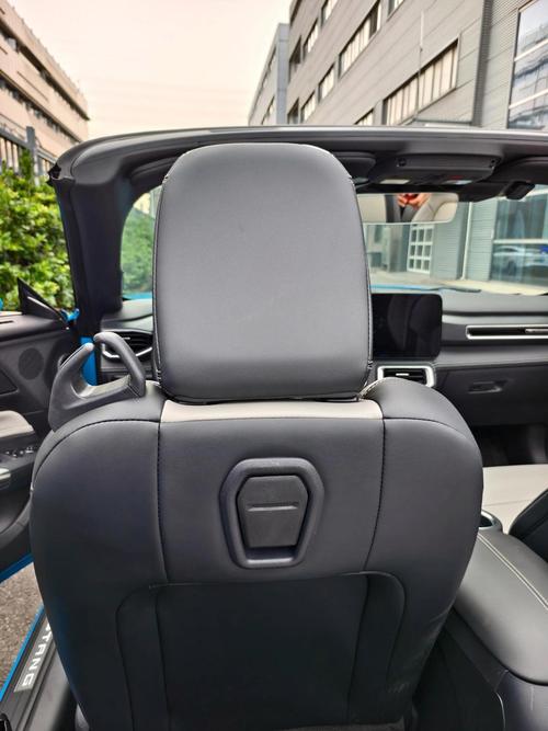 双门四座跑车(双门四座跑车怎么坐后排)