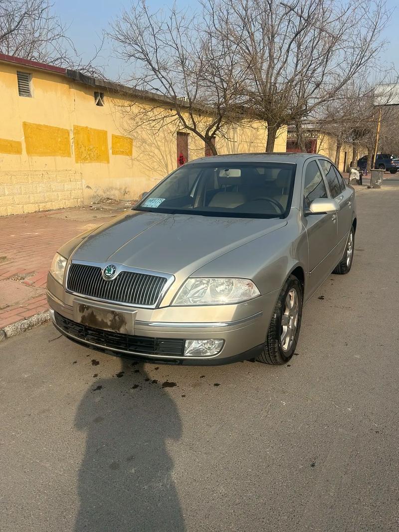 斯柯达2010款两厢,斯柯达 两厢