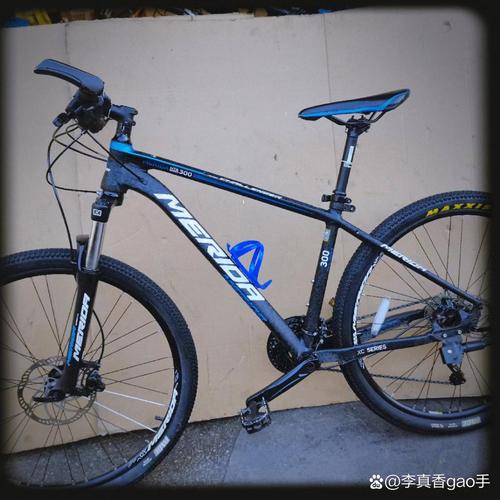 美利达／美利达挑战者300