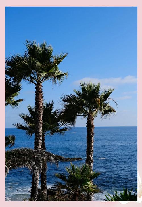 拉古纳海滩是哪个国家的 拉古那大爆发