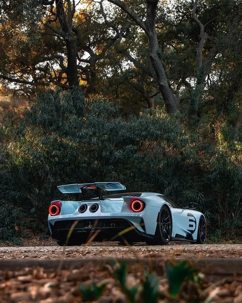 福特gt2017(福特gt2017图片)