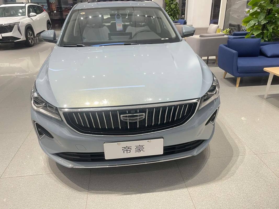 帝豪的小毛病多不多的简单介绍