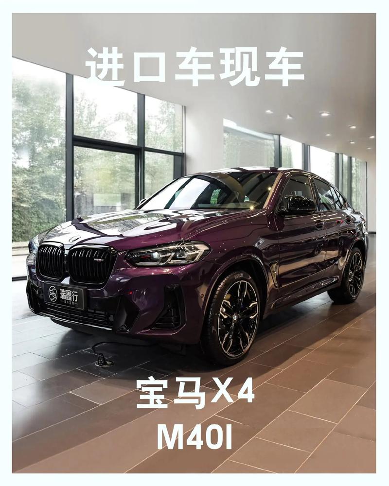 进口宝马x4多少钱(进口 宝马x4)