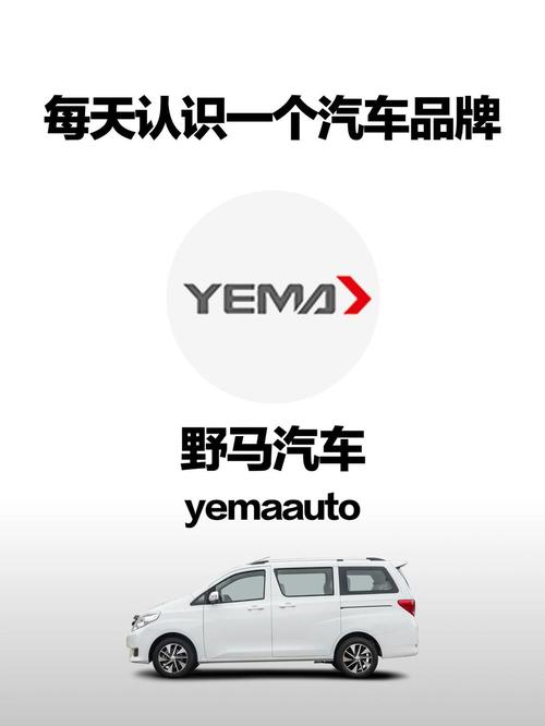 野马汽车是哪个国家的品牌(野马是哪国的品牌汽车?)