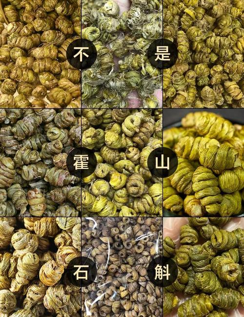 斛怎么读 斛怎么读石斛是什么东西