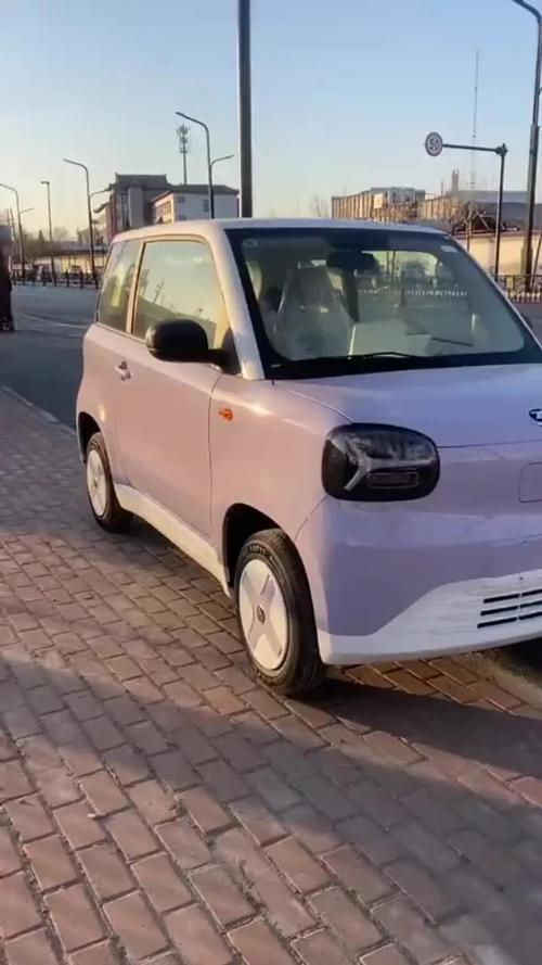 【女士2座迷你电动车,女士2座迷你新能源车】