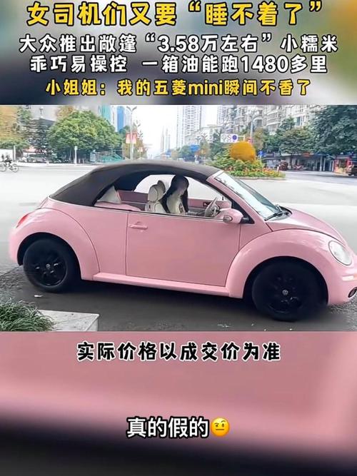 大众新款小糯米图片(大众新款小糯米图片有几种颜色)